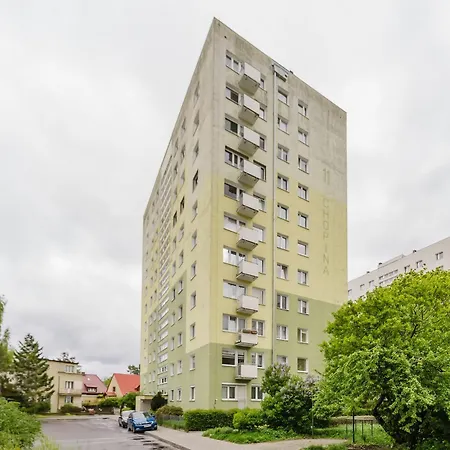 Apartment 11